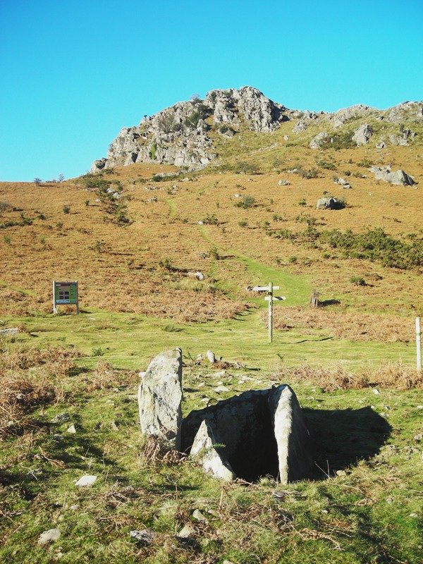 Ibañeta  trikuharria