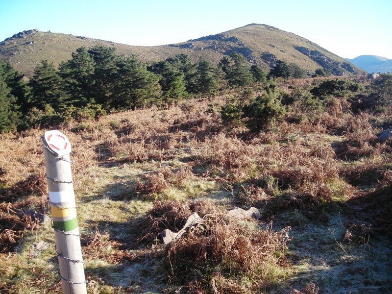 Telletxeko  Bizkarra harrespila