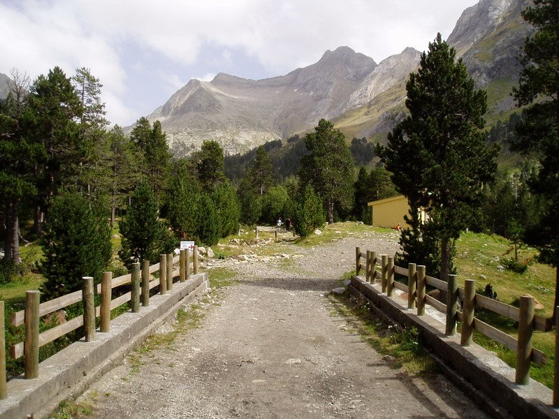 Puente Coronasetik ikusita