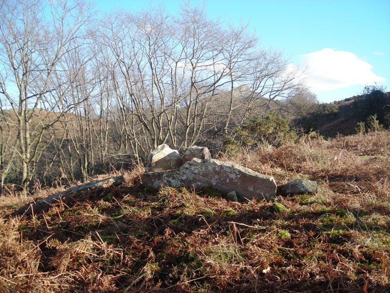 Larria I  trikuharria