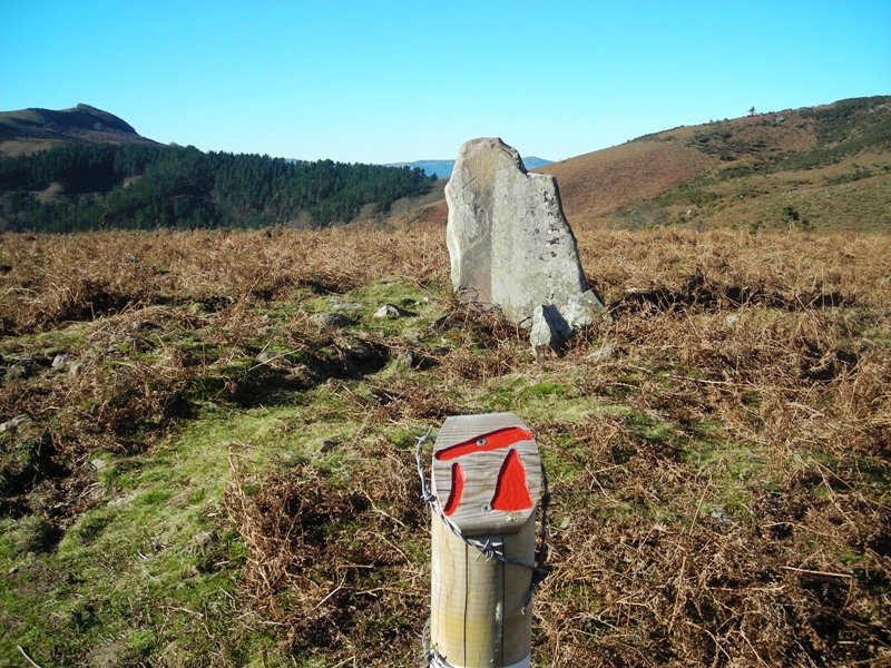 Soroaundi trikuharria