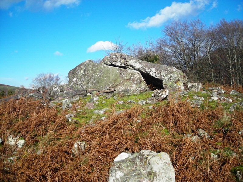 Lamizilo trikuharria