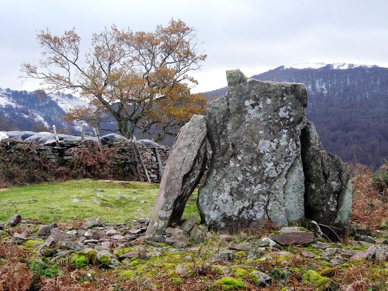 Sorginetxoa  trikuharria