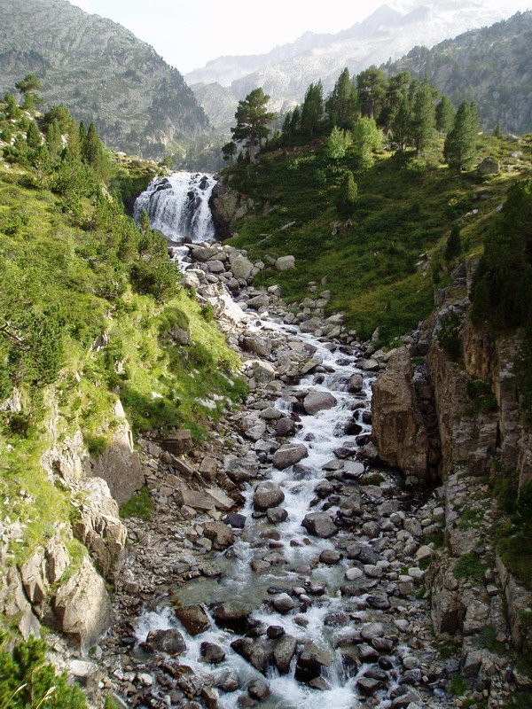 Aiguallutseko urjauzia