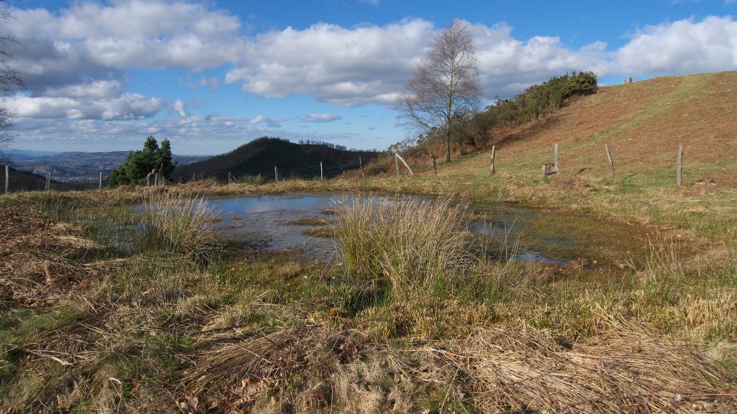 Malbazar aldean igelentzako egindako putzua