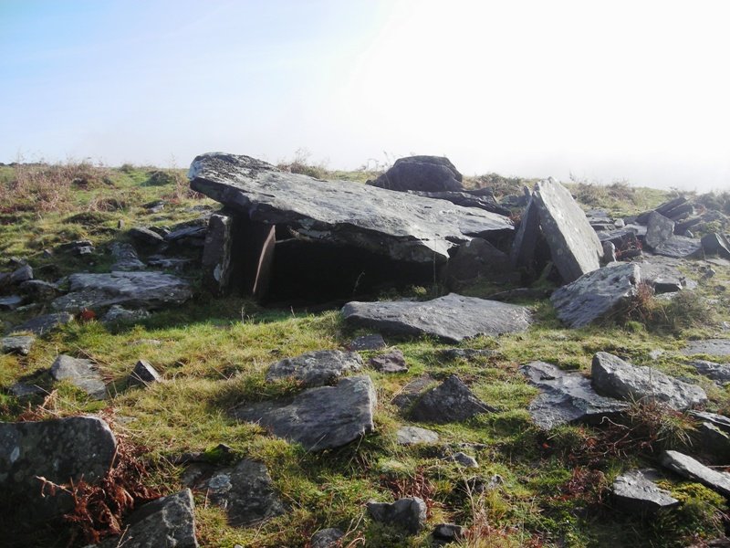 Mendibil trikuharria