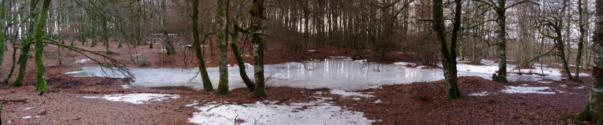 Ur putzua iparraldeko gailurretik hurbil
