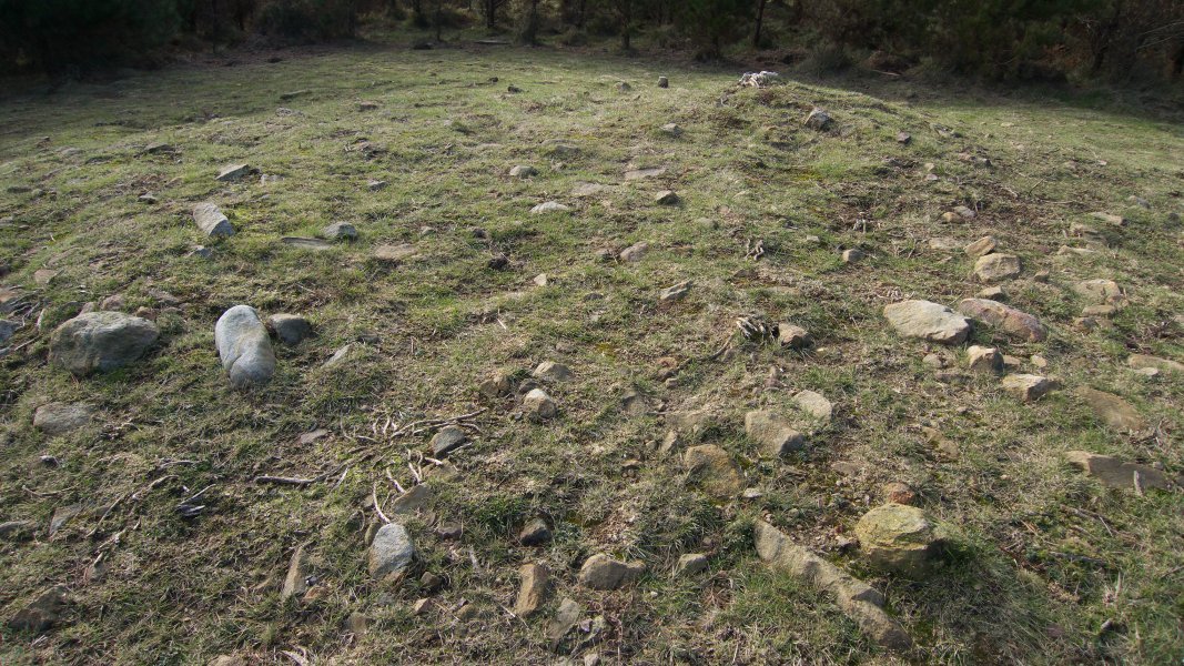 Tumuluaren erdigunea