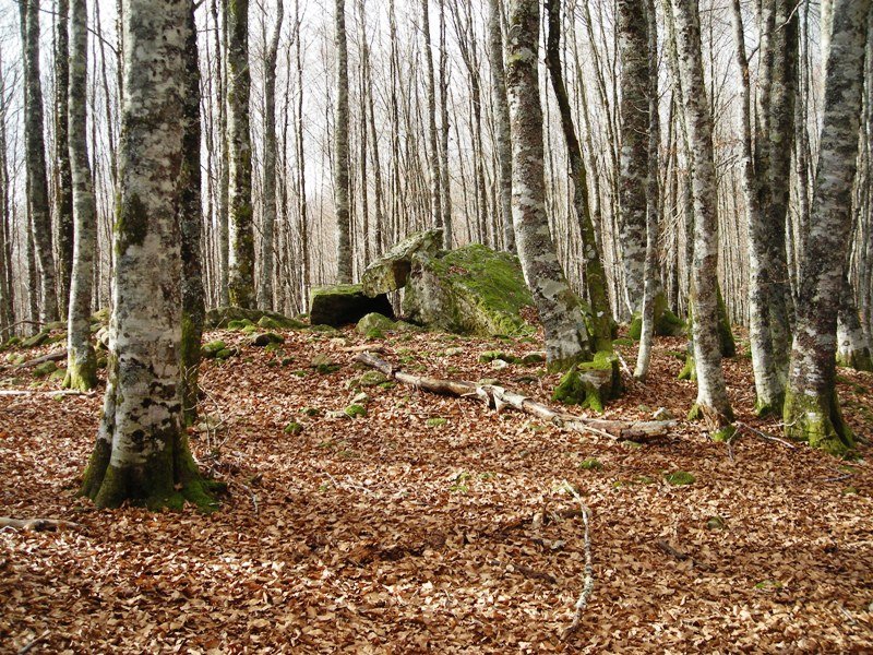 Arzilo 1 ipar trikuharria