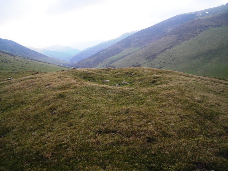 Xantxoten Harria trikuharria