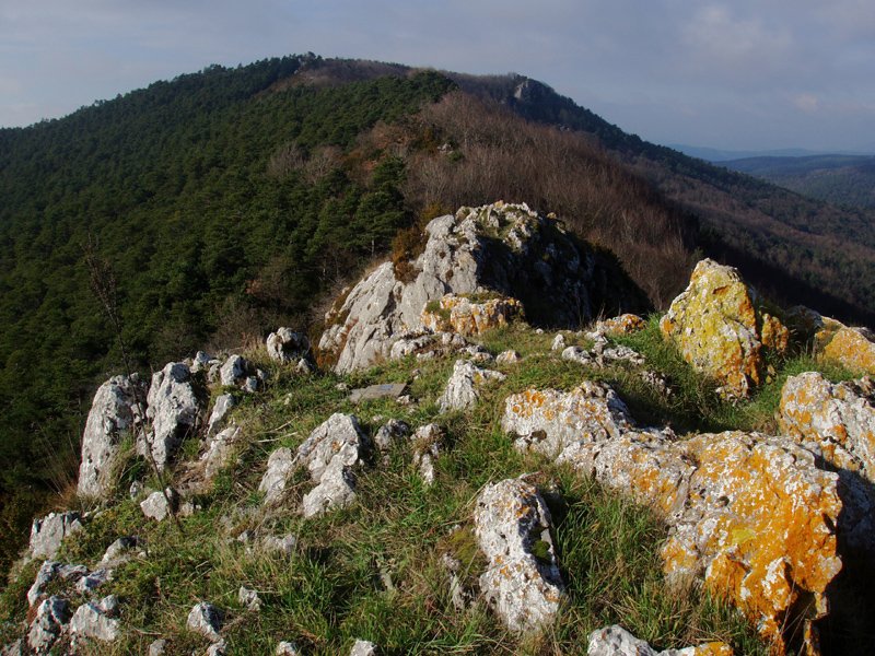 Gailurra eta Lakarri