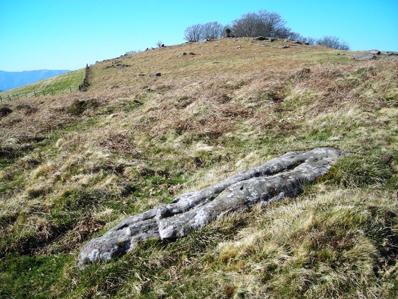 Altsoroi  2 ipar  zutarria