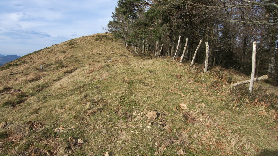 Hauxe da seinalearen atzean dagoena