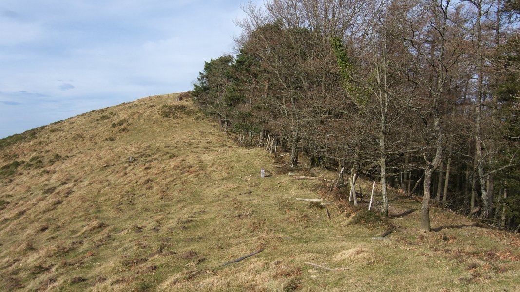 Ueko bizkarreko ikuspegi zabala