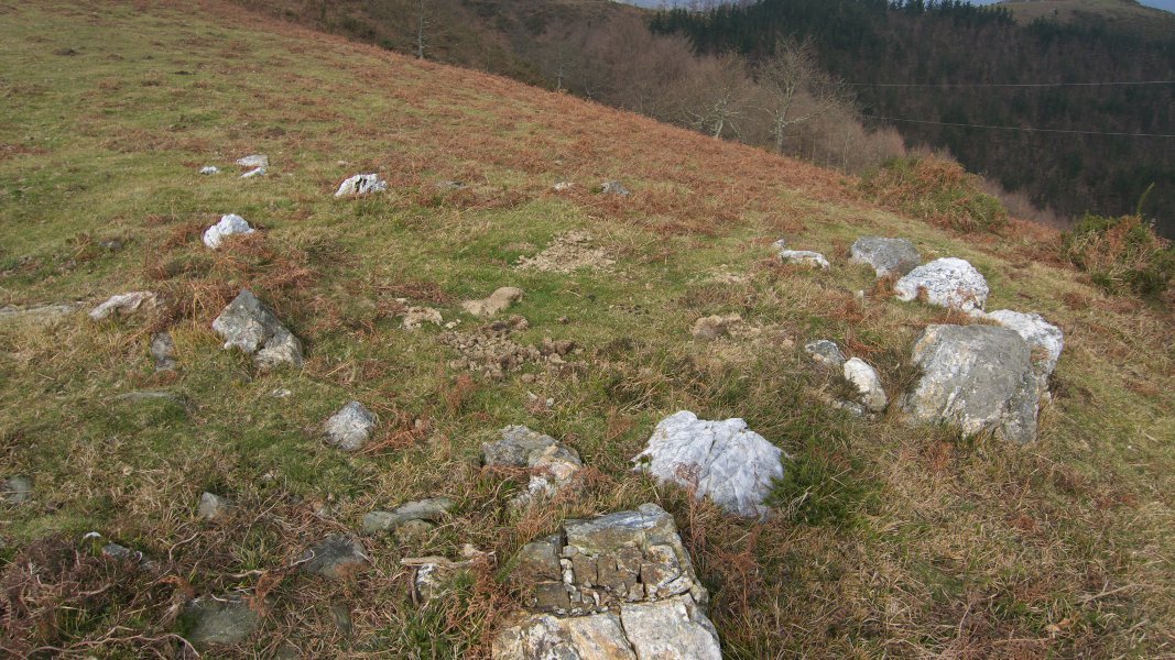 Iparraldeko harrespila