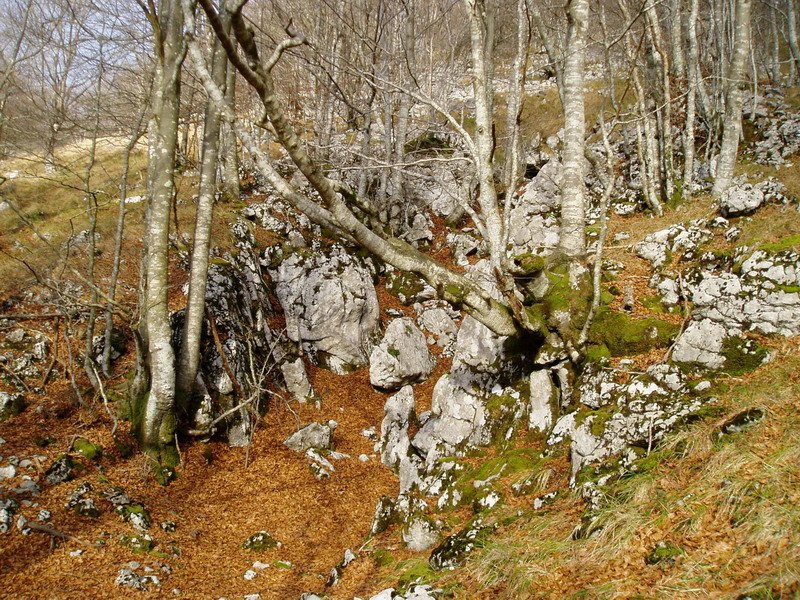 Kobazuloa pago hauen artean dago