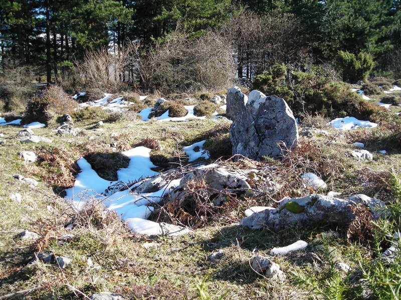 Urtapotolueta I trikuharria