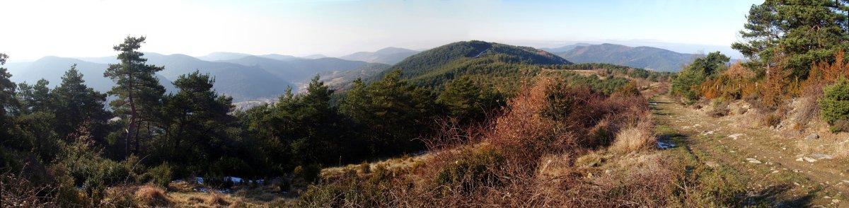 Puno (Ollokorri) Maliturritik