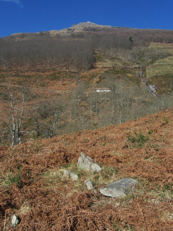 Mendaur da atzean ageri den tontorra