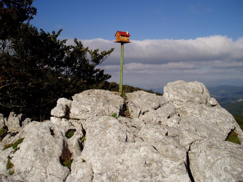 Liñategietako tontorra