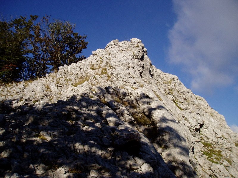 Liñategietako tontorra