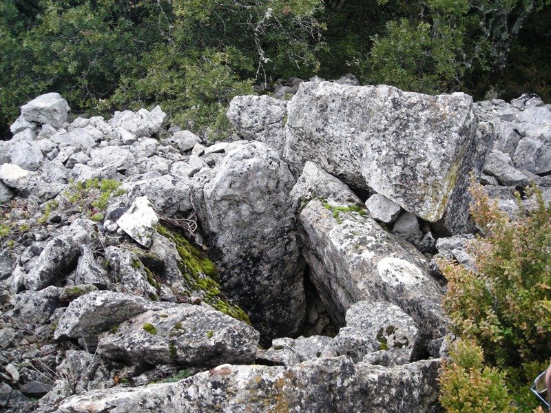 Ugarra 1 ekialde trikuharria