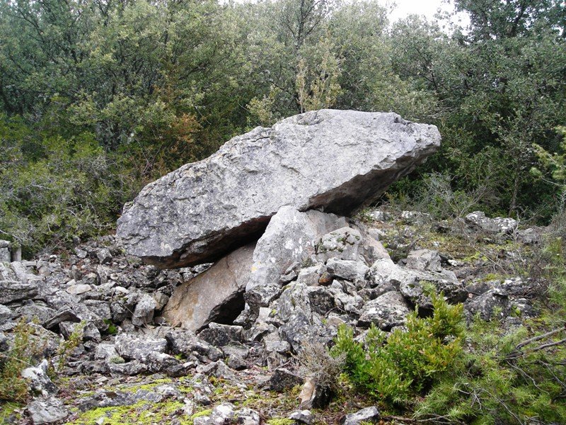 Angerta  trikuharria