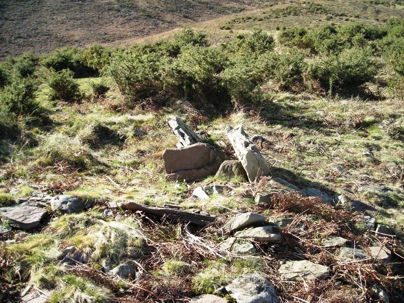 Gaztenbakarre 2 trikuharria