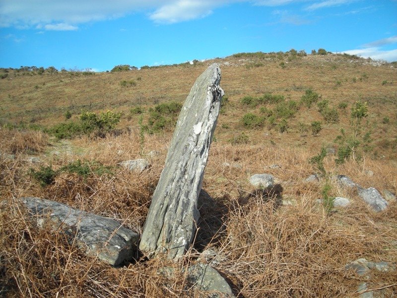 Gaztenbakarre  zutarria