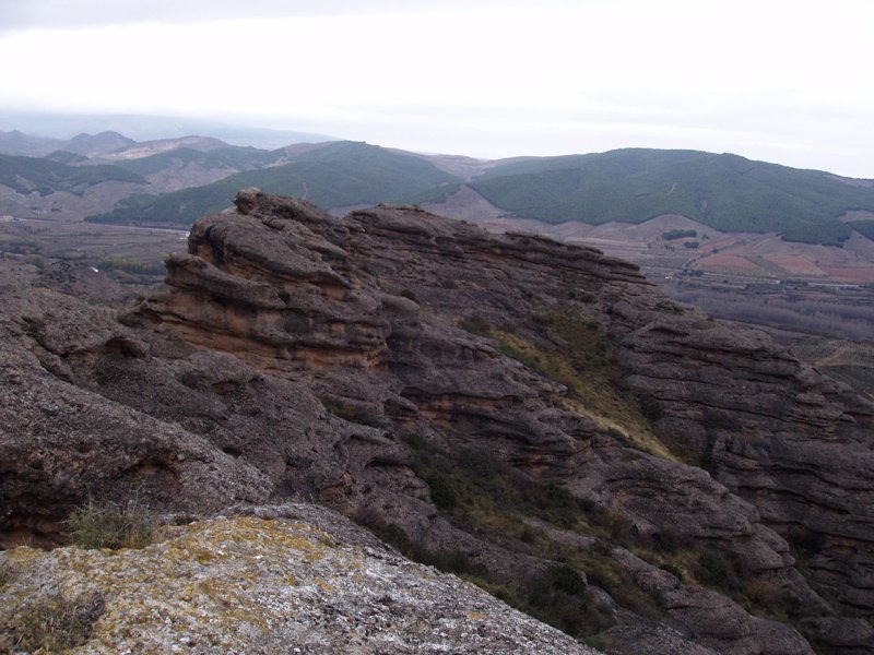 Las Roscaseko gainaldea