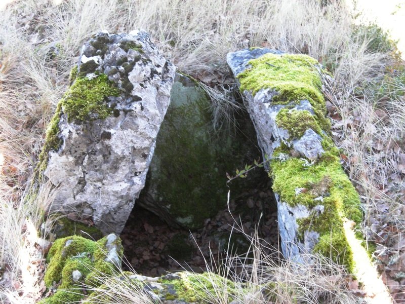 Puente de Bigüezal trikuharria