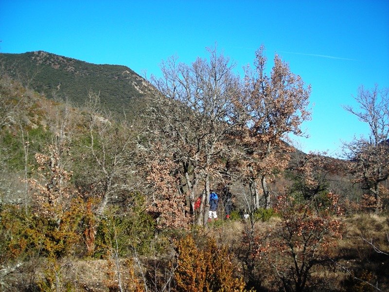 Puente de Bigüezal trikuharria