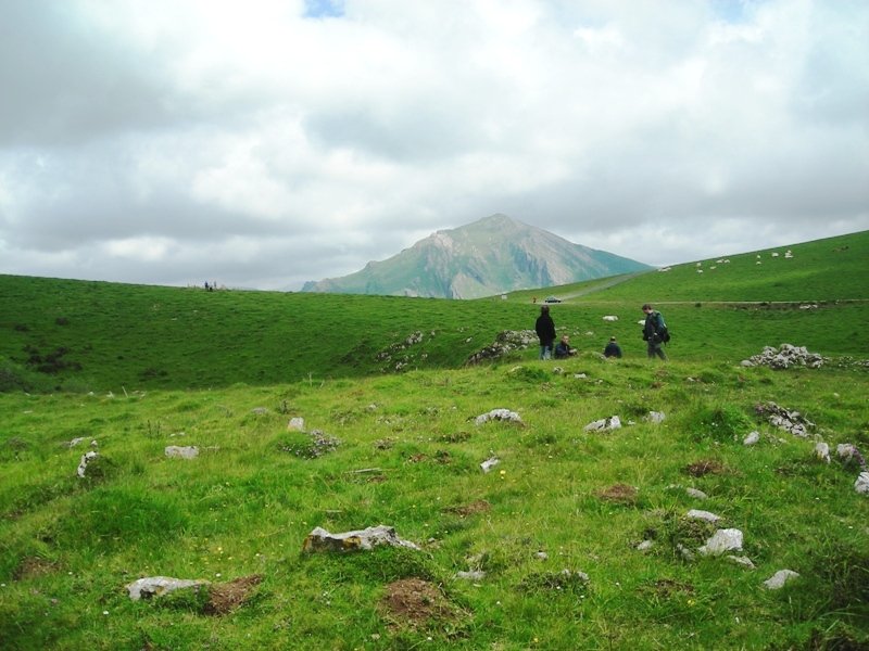 Idopilko Soroa harrespila