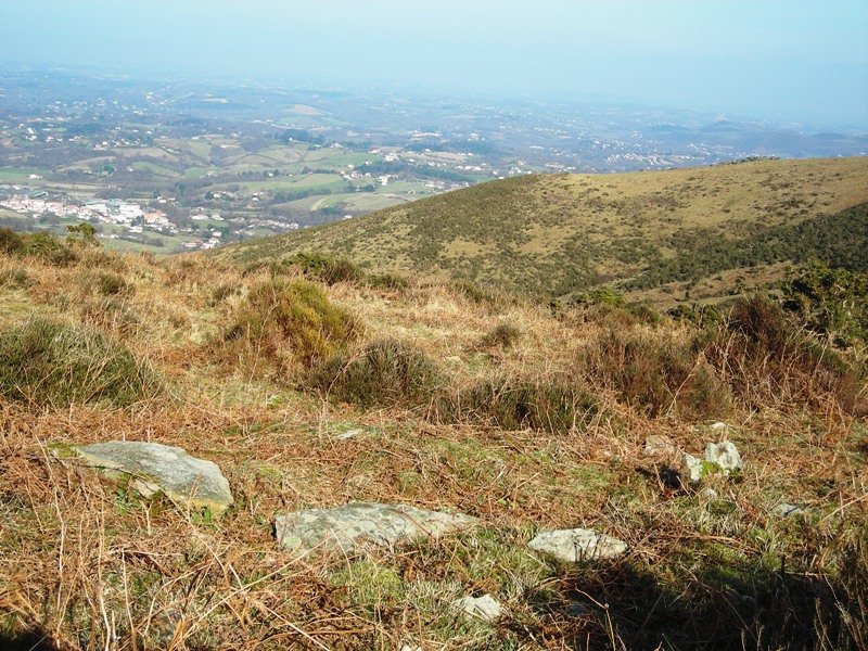 Xoldokozelai  I  trikuharria