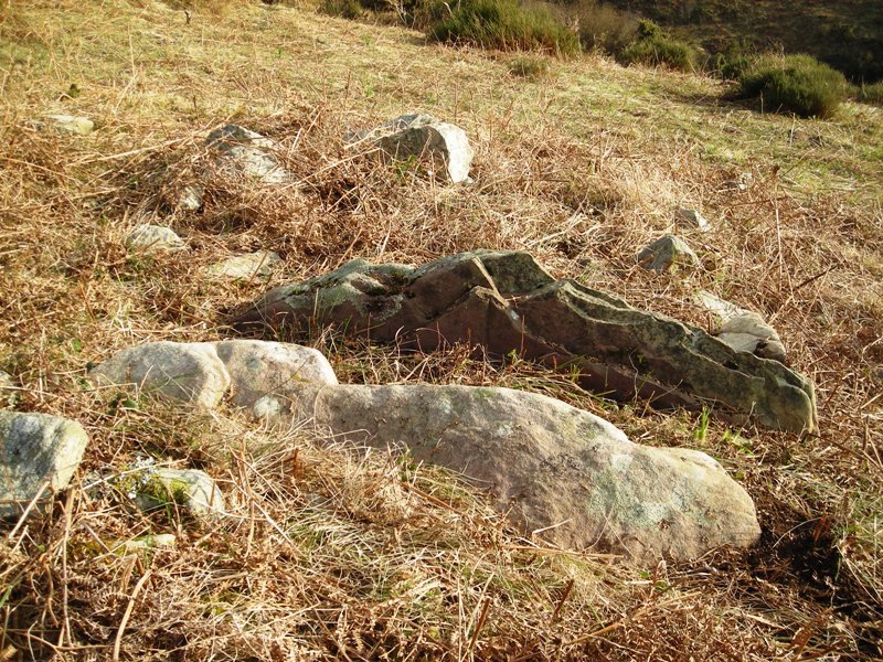 Galbario II trikuharria