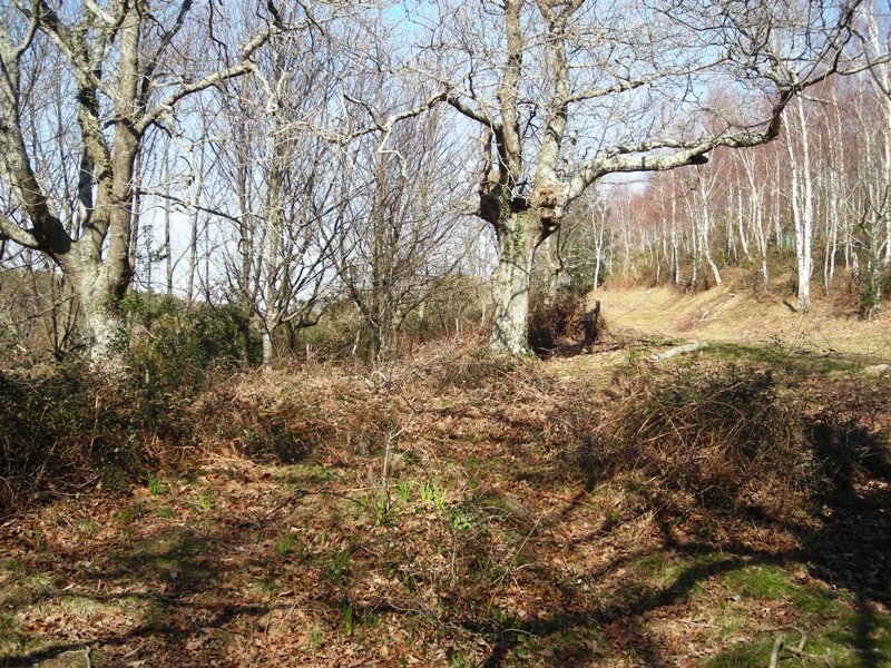 Batzarleku  trikuharria