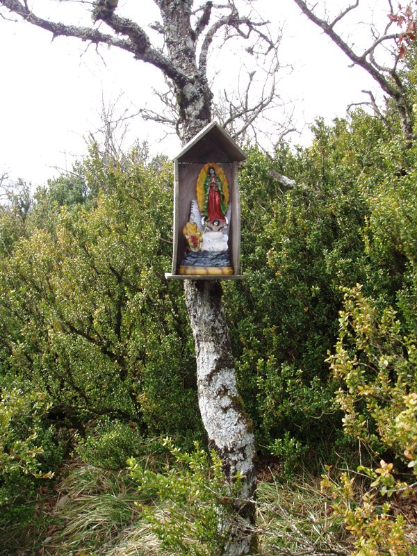 Aldare xumea gailurretik hurbil