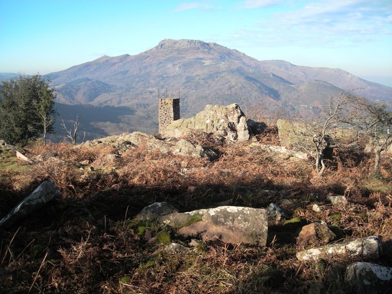 Larria II  trikuharria