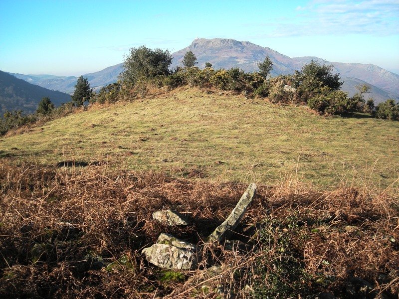 Larria III  trikuharria