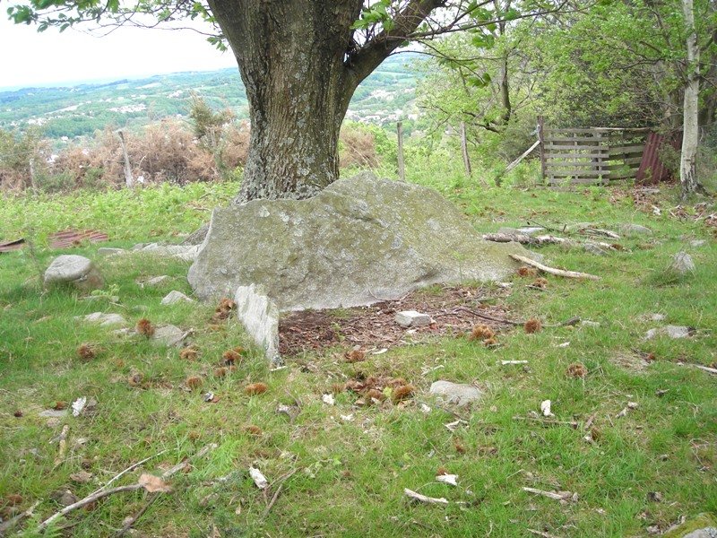 Argibele I trikuharria