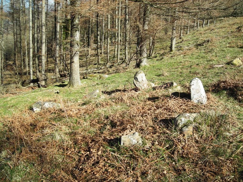 Arrikolota  harrespila