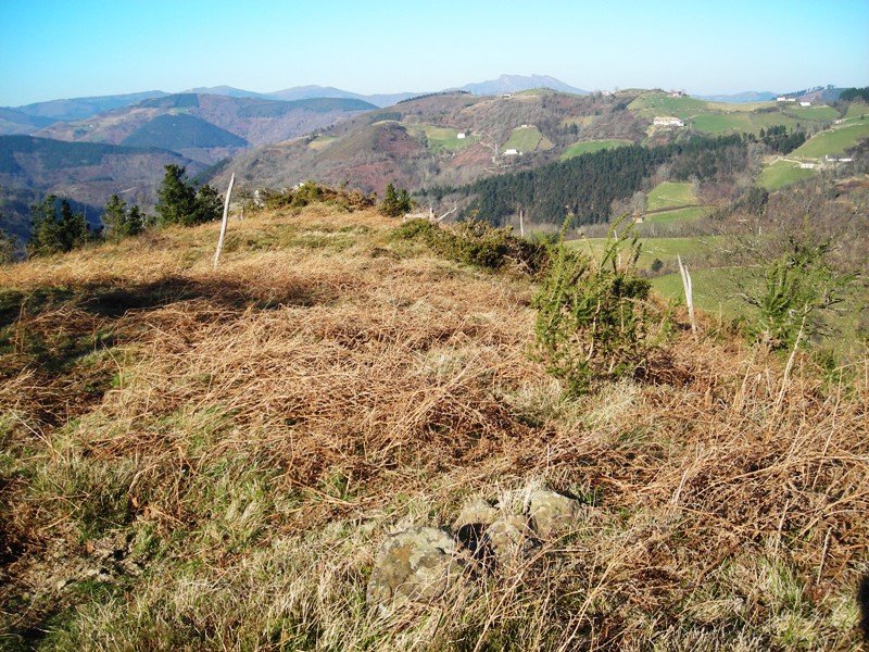 Akelarre Bizkarra trikuharria