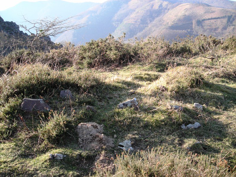 Okalarre trikuharria