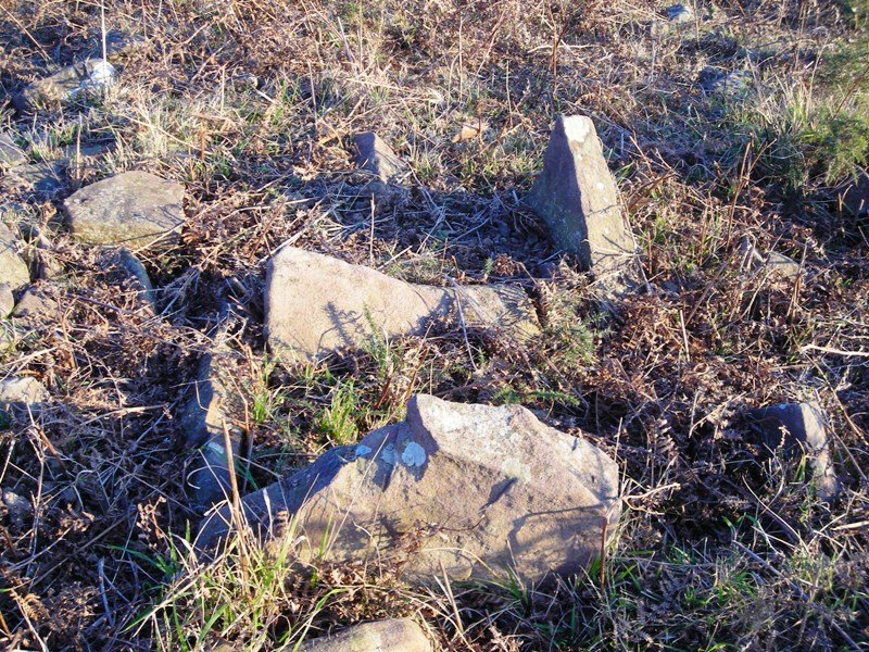 Larratzu trikuharria