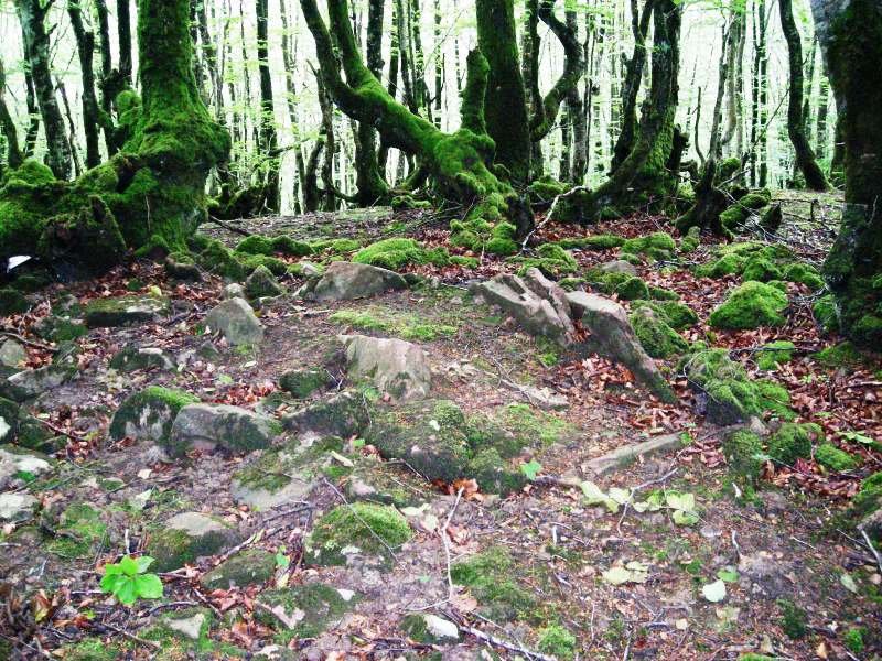 Errandonea  1 ipar trikuharria