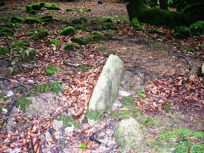 Errandonea  2  hego trikuharria