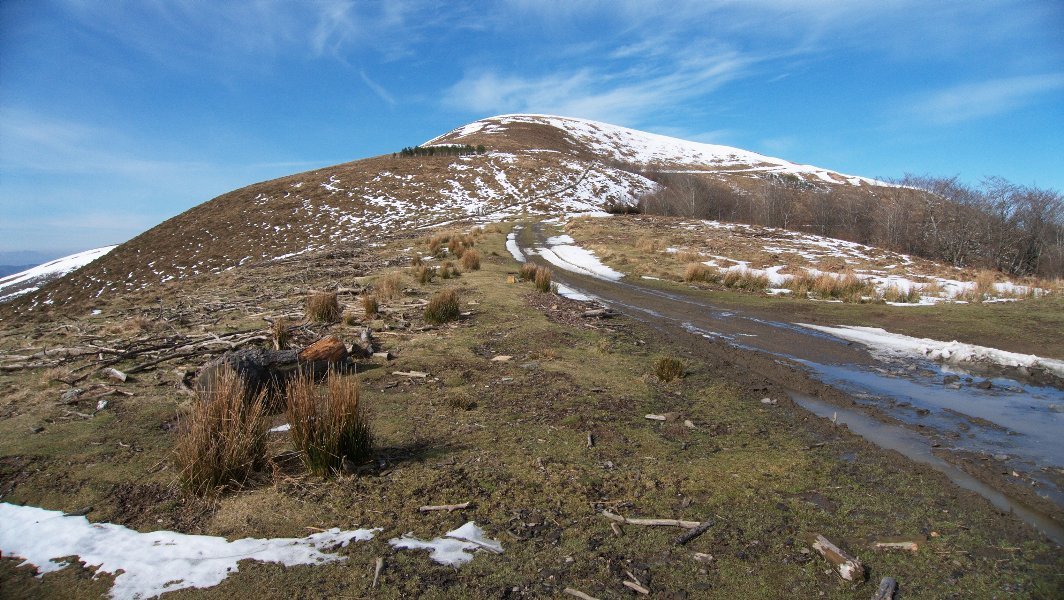Ekialdeko lepotik ikusita
