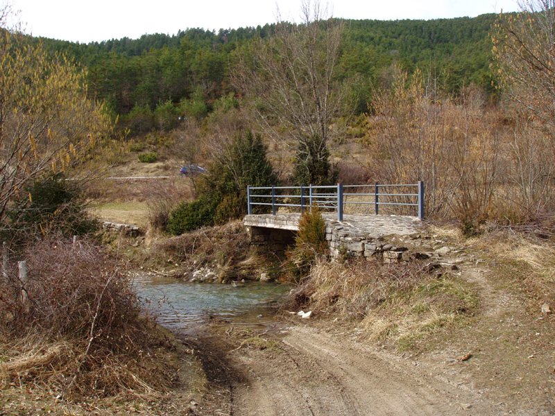 Zubitxoa Larraizeko sakanean
