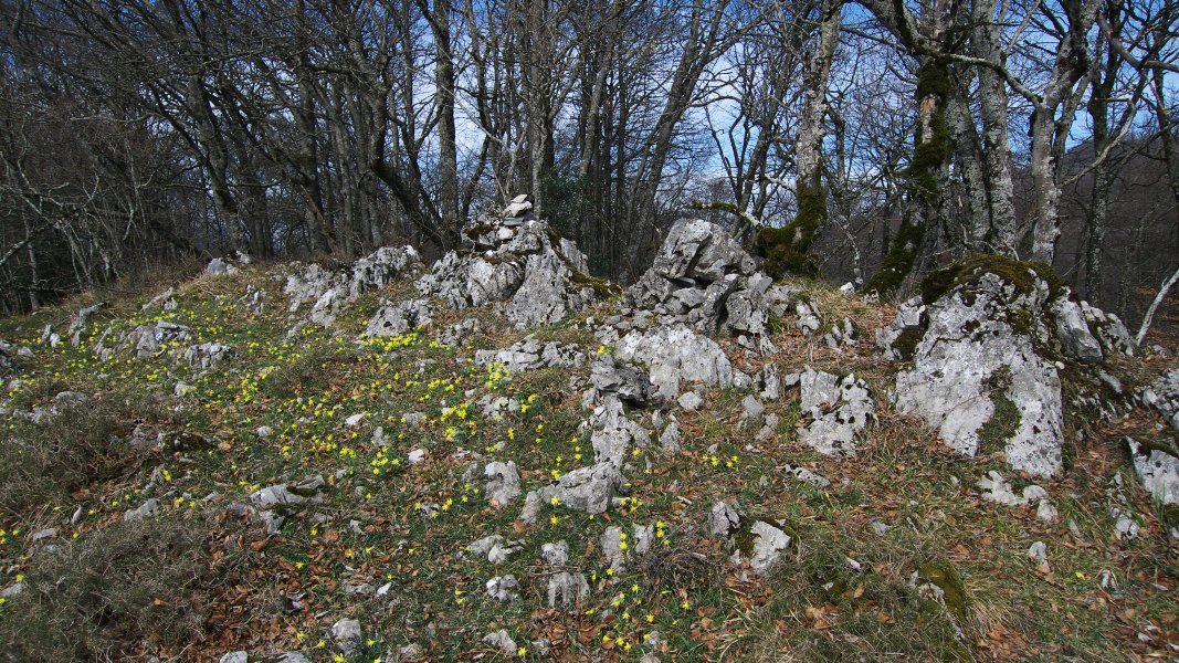 Erdialdeko beste tontor bat, harri pilaz markatua
