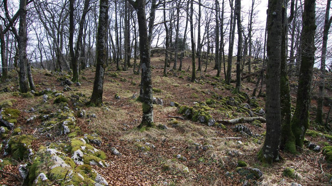 Erdiko tontorraren inguruak